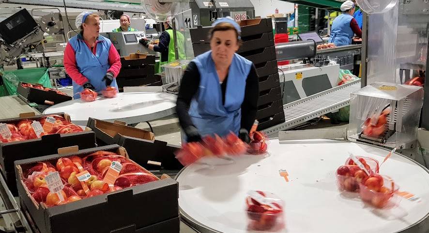 Tany Nature2-02bis|Tany Nature2 04|Tany Nature2 05|TanyNature-01|TanyNature2 06|Tani Nature2-01|Tany Nature-Necatarinas|Tany Nature Ciruelas